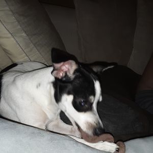 Meet your Posher, Kim